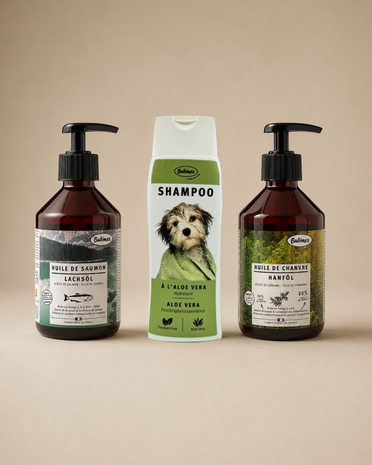 Routine soin pelage et peau du chien à base d'ingrédients naturels – NOUR Bien-être animal
