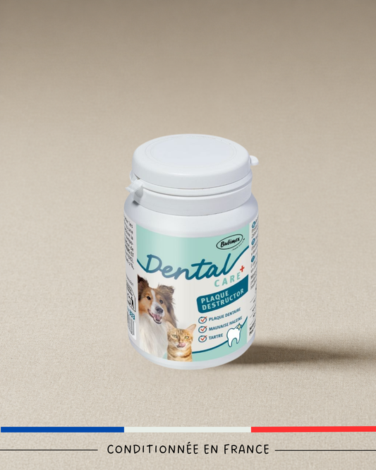 Soin Dentaire Chien – Anti-Tartre & Mauvaise Haleine