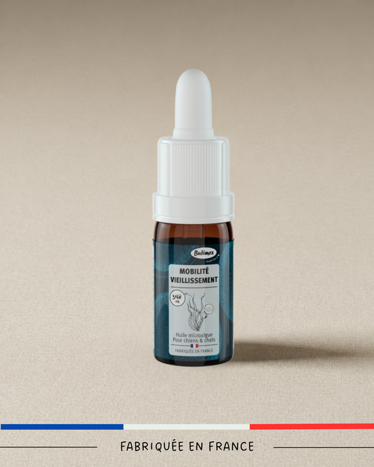 Huile de Micro-Algues Chiens & Chats – 10ml