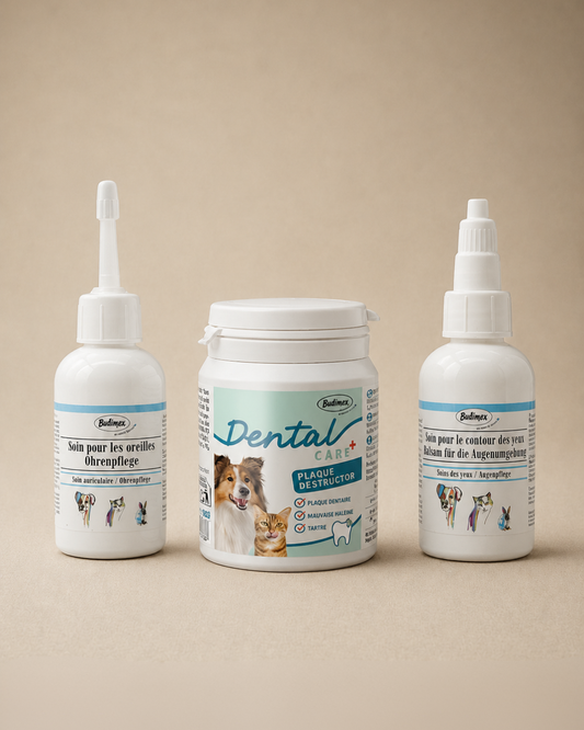 Pack soins du quotidien pour chien et chat, produits de bien-être naturels – NOUR Bien-être animal