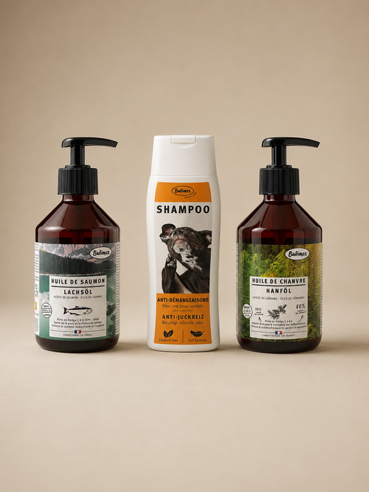 Pack pelage brillant et peau apaisée pour chien, soins naturels – NOUR Bien-être animal